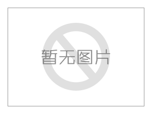 公司荣誉